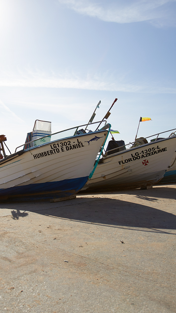 SC salema boat 2019
